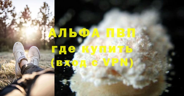 спайс Арсеньев