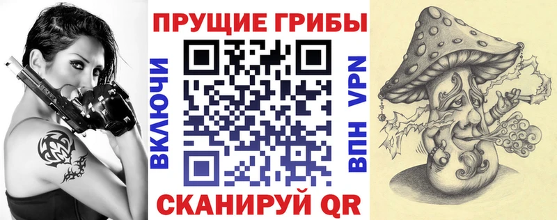Псилоцибиновые грибы мицелий Отрадный